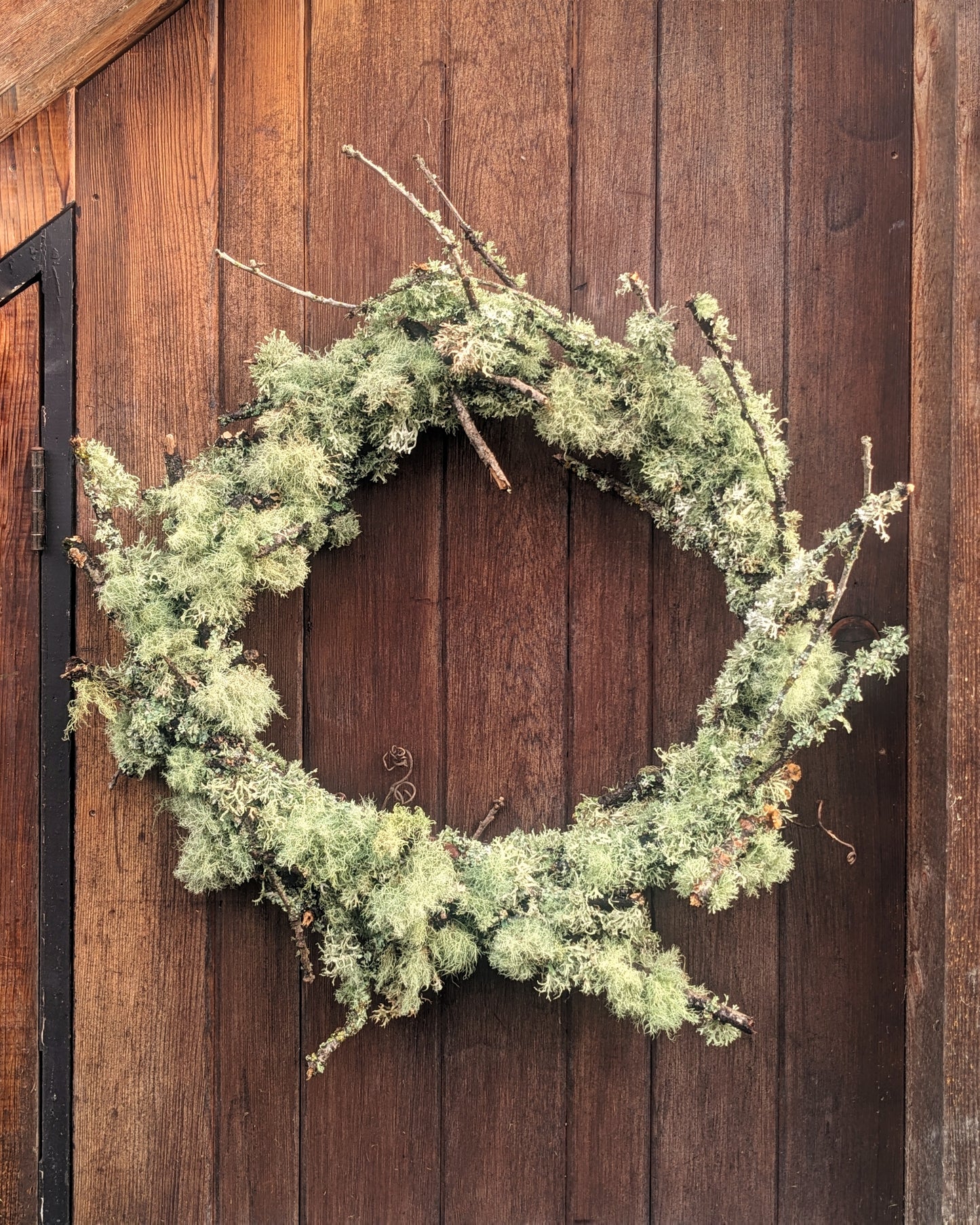 Extra Large Lichen Wreath