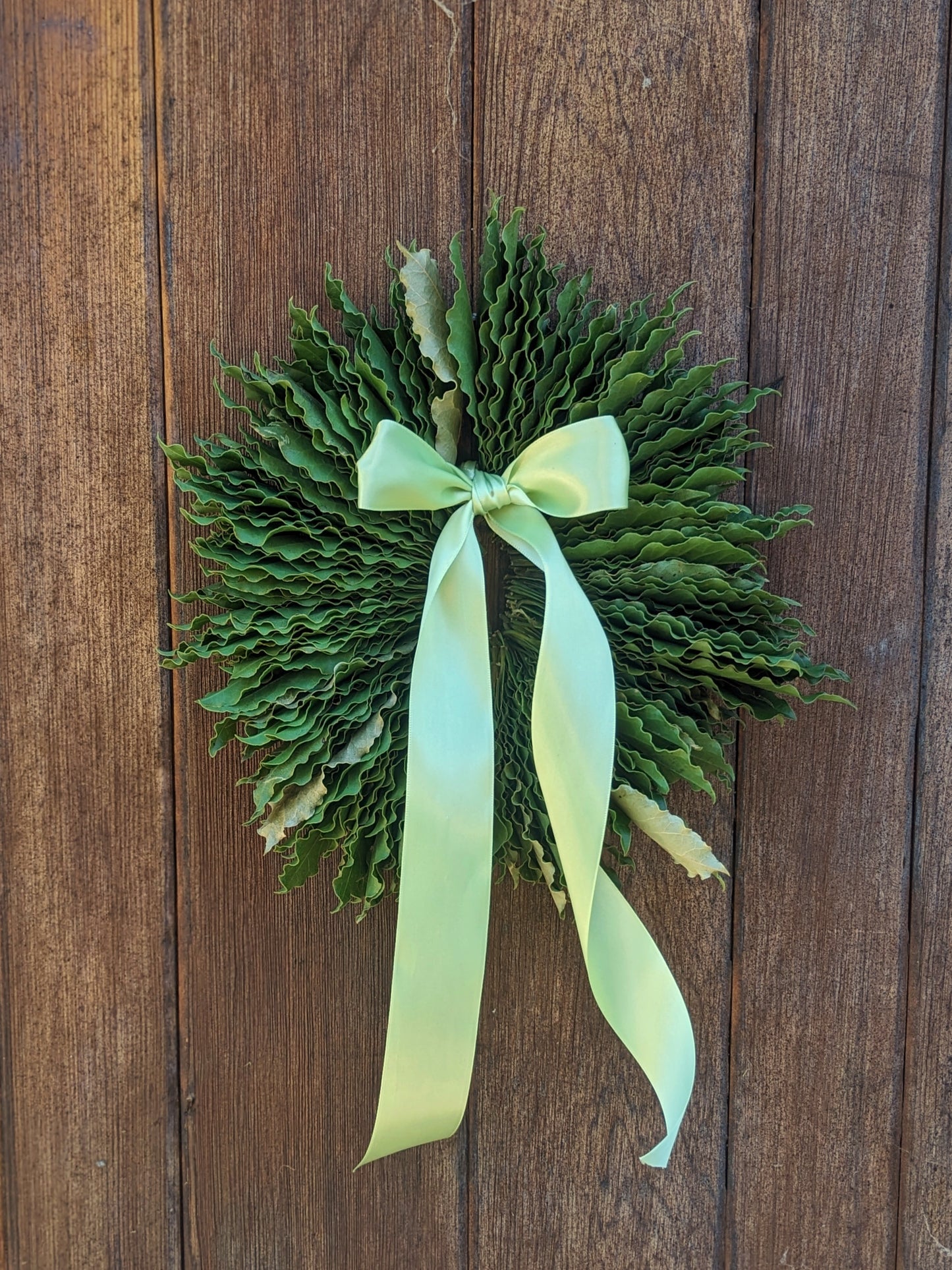 Bay Laurel String Wreath