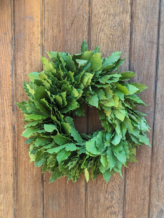 Bay Laurel Wreath