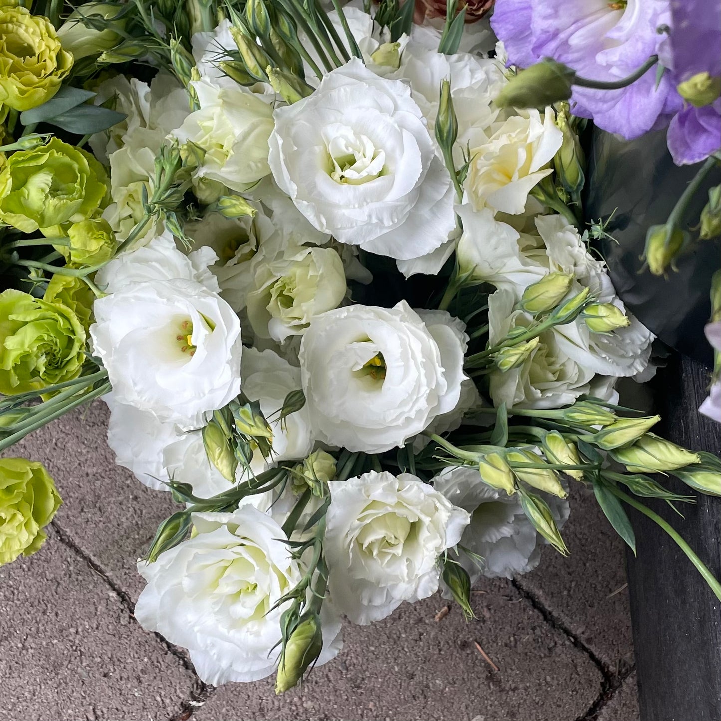Lisianthus by the bunch