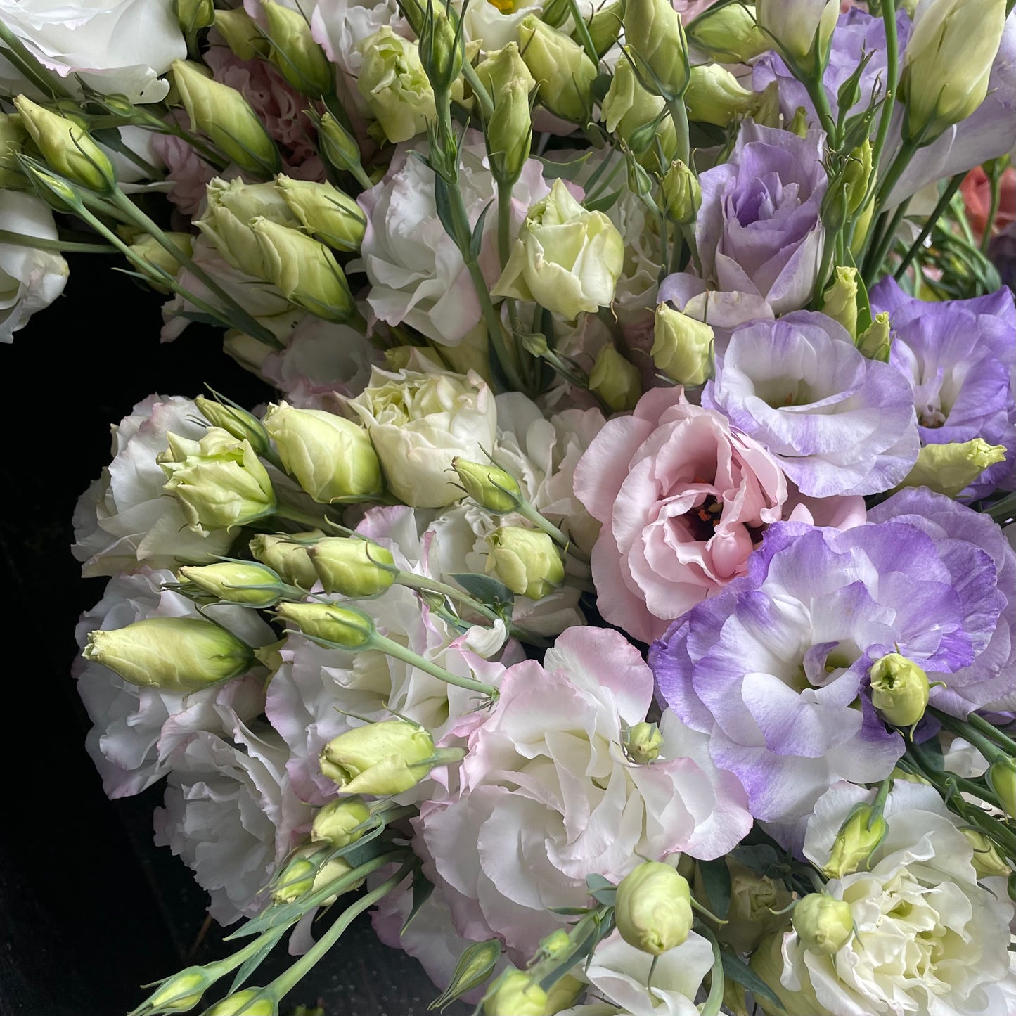 Lisianthus by the bunch