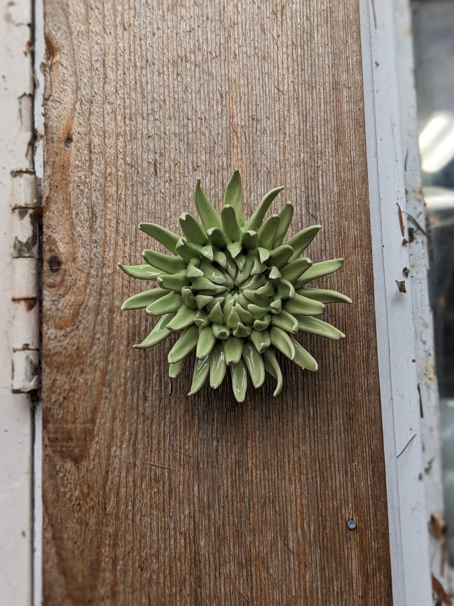 Ceramic Wall Flowers