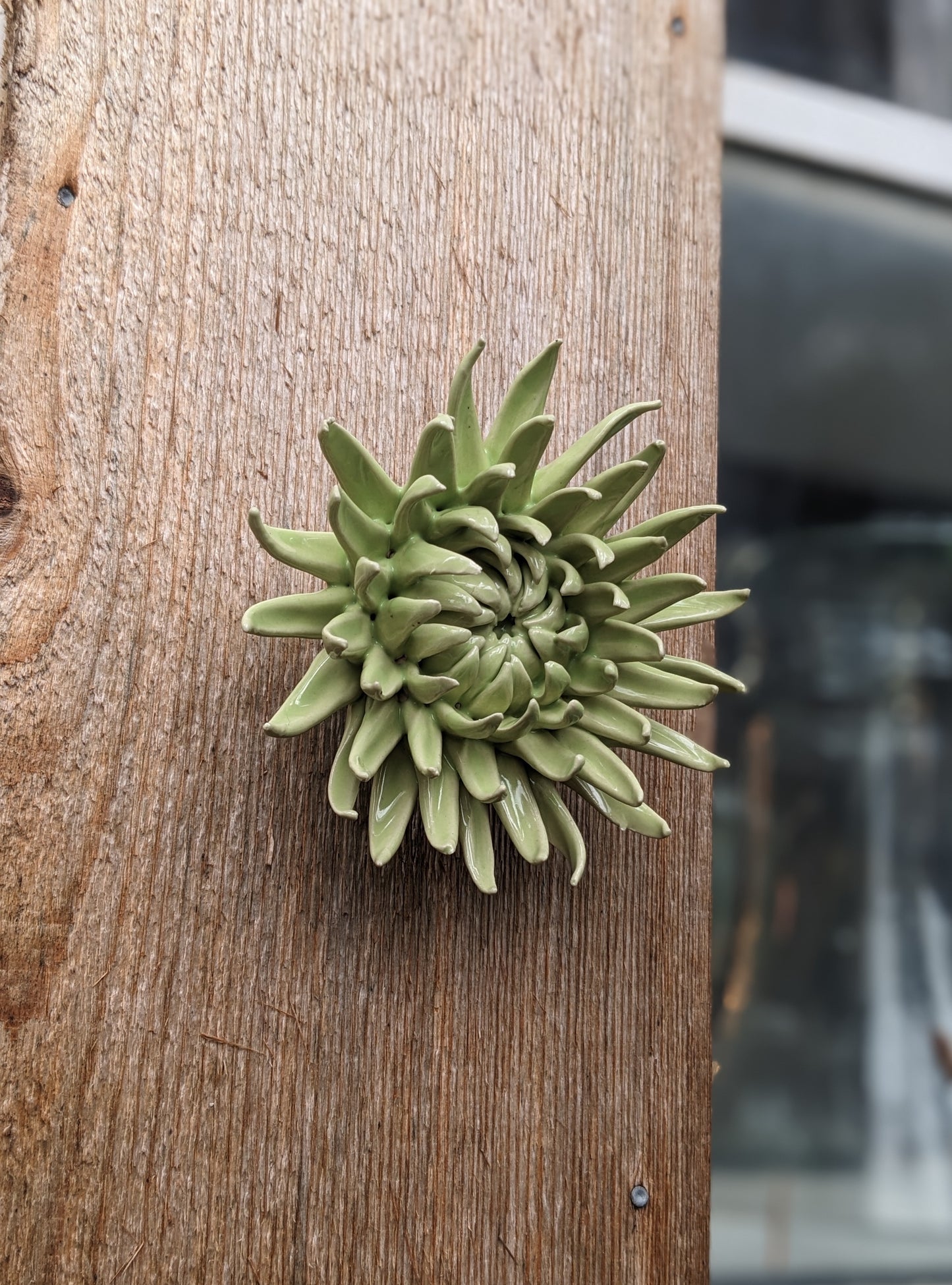 Ceramic Wall Flowers