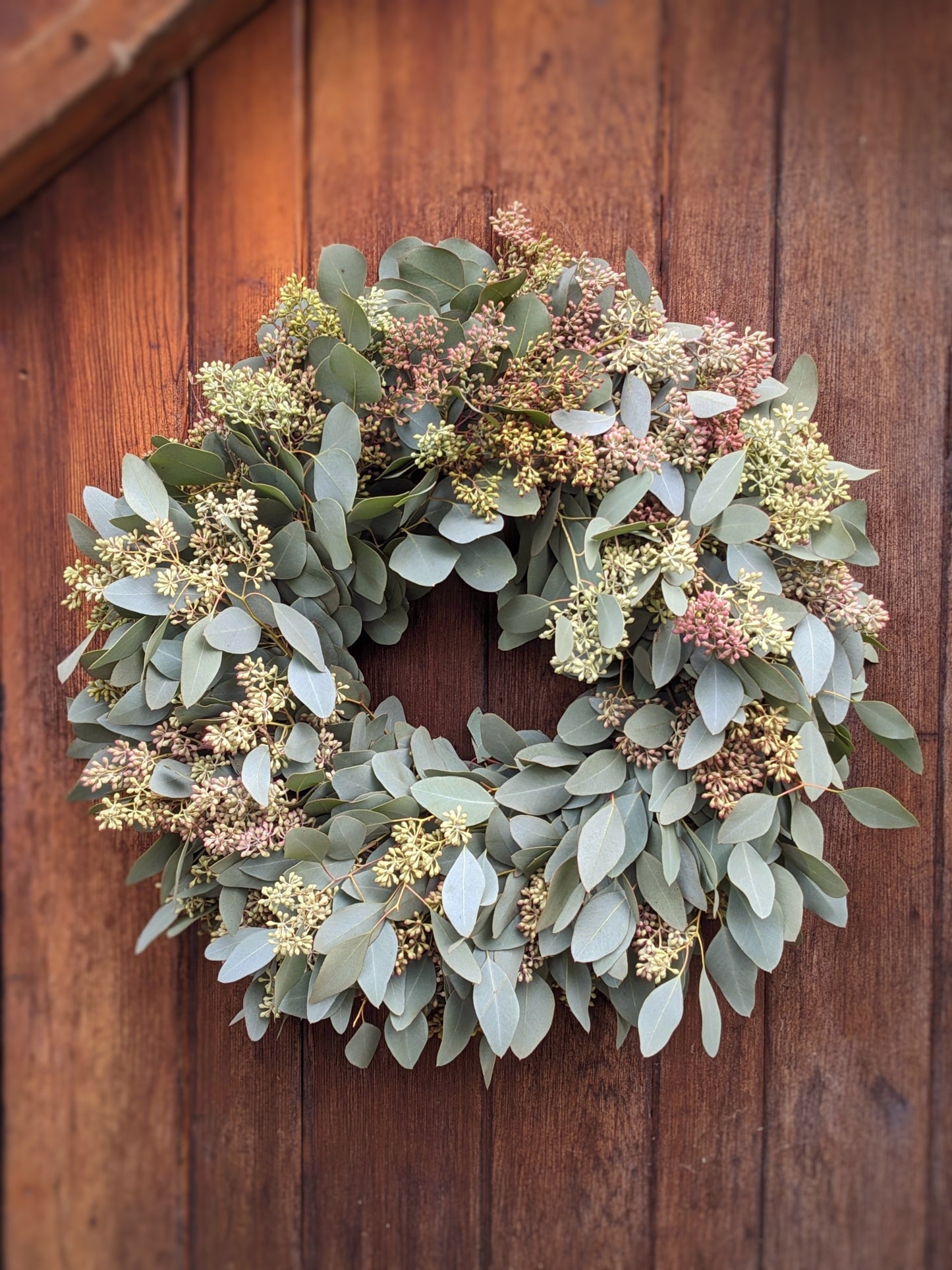 Fresh Seeded Eucalyptus Wreath