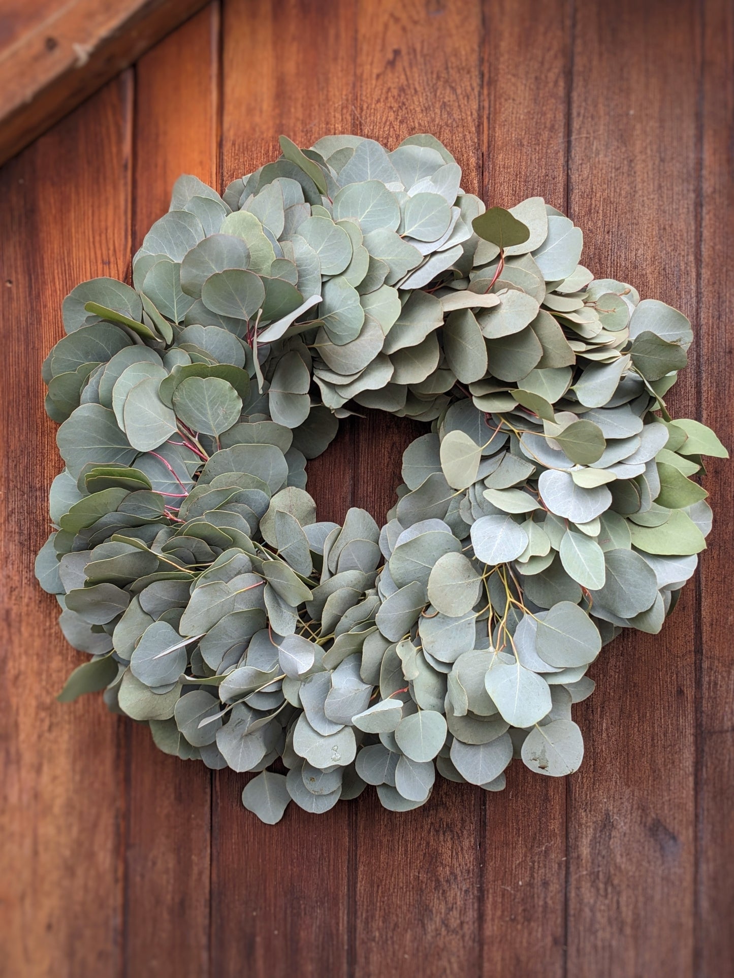 Fresh Silver Dollar Eucalyptus Wreath