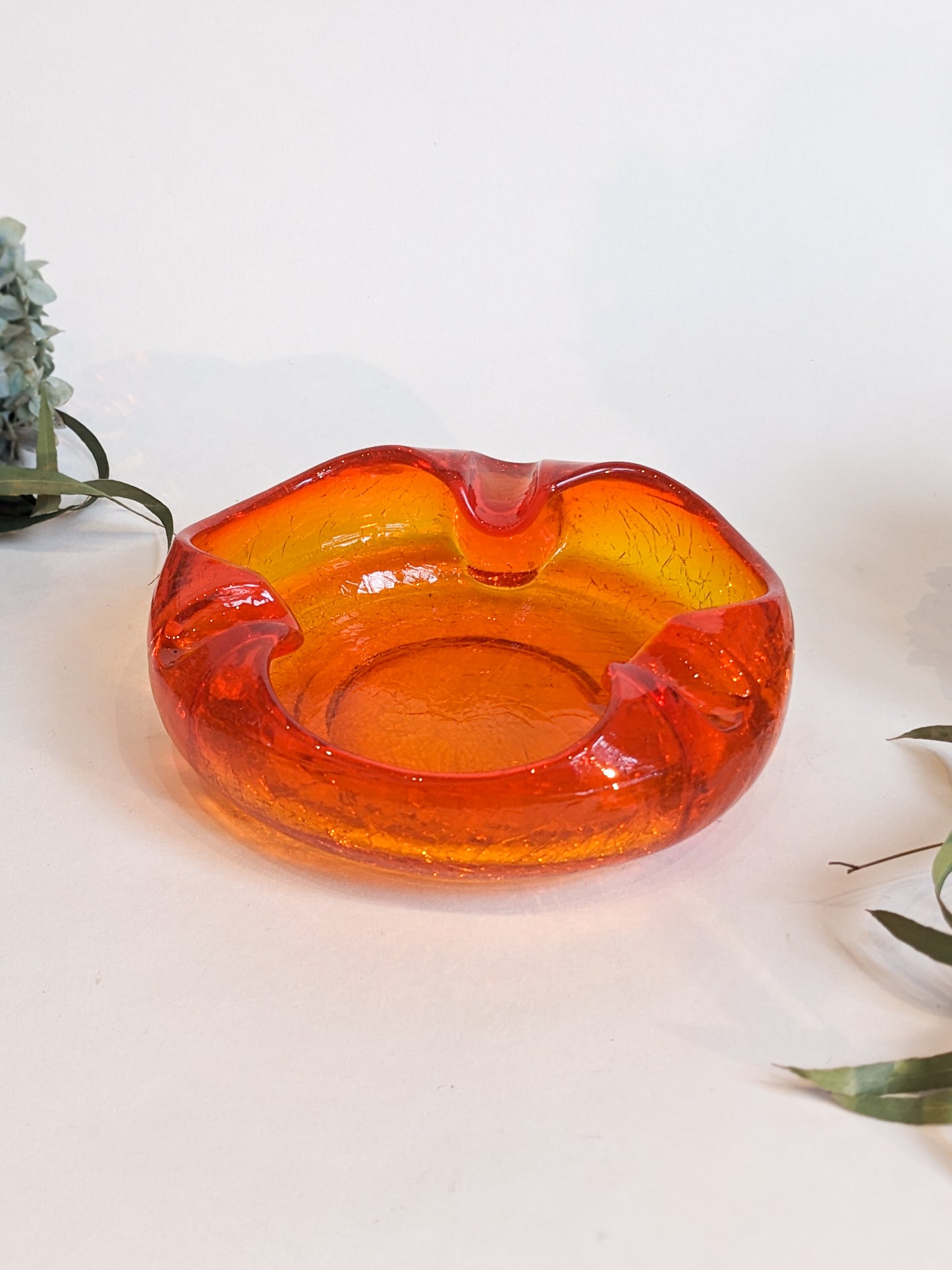 Shallow Bowls
