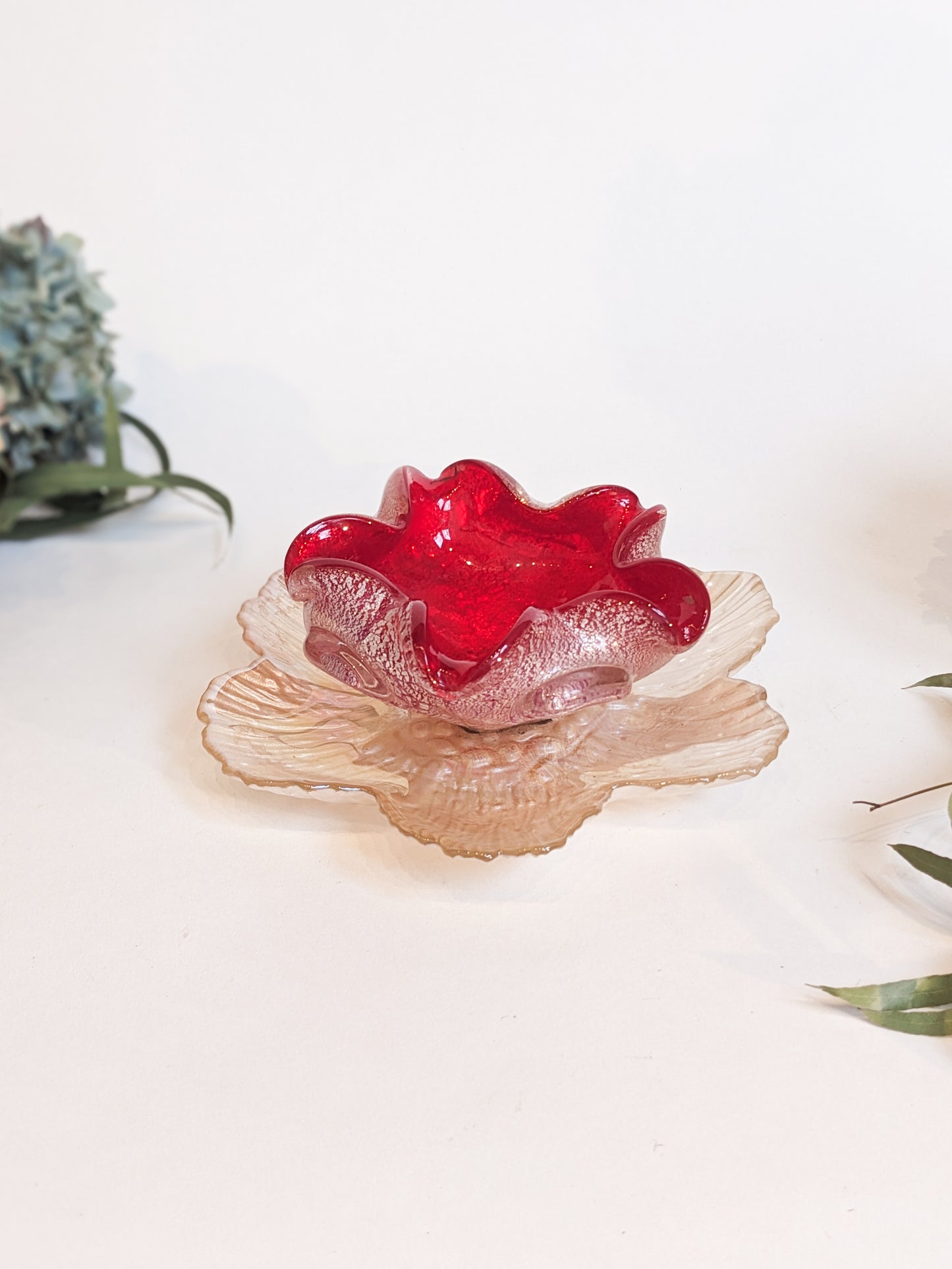 Shallow Bowls