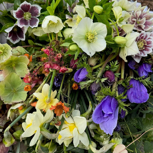 Spring 2025 Newsletter