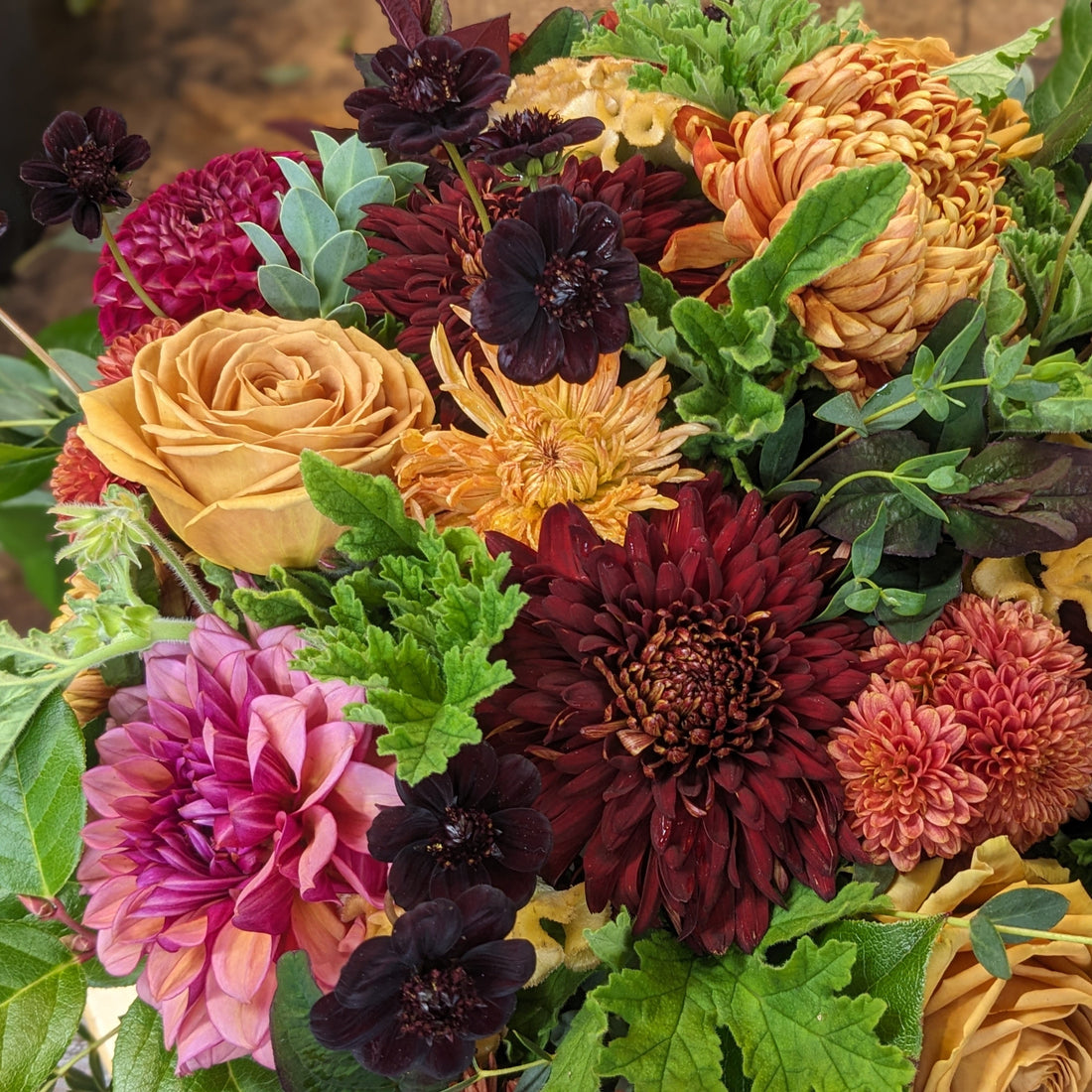 November 2025 Newsletter