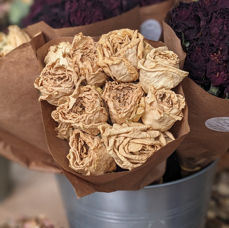 Dried Dozen Roses