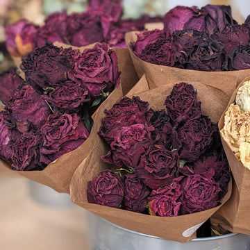 Dozen Dried Roses