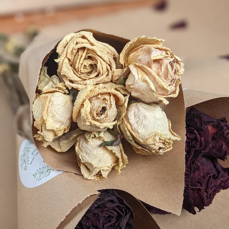 Half Dozen Dried Roses