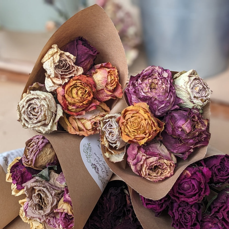 Half Dozen Dried Roses