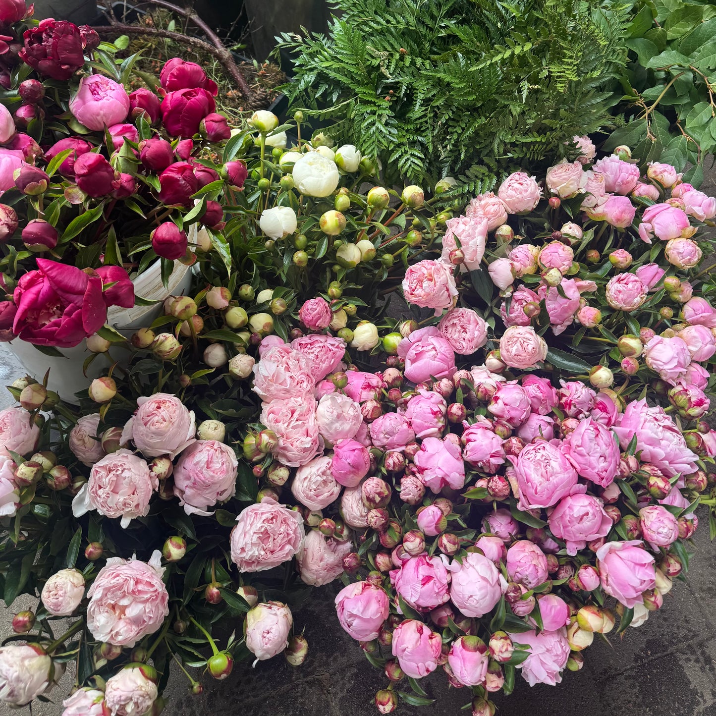 Peonies by the bunch