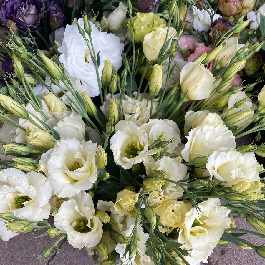Lisianthus by the bunch