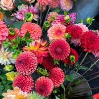 Dahlias by the bunch