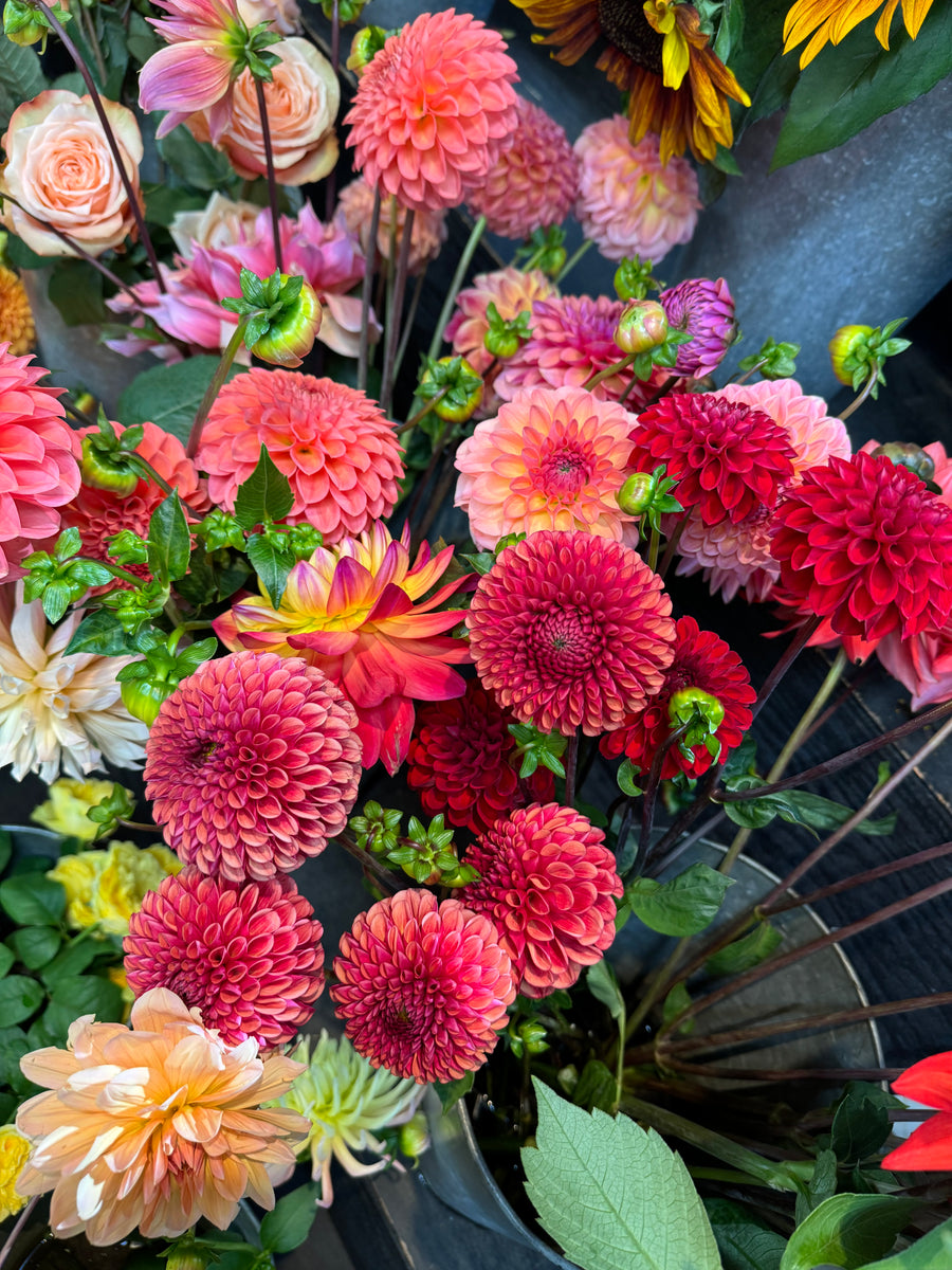 Dahlias by the bunch