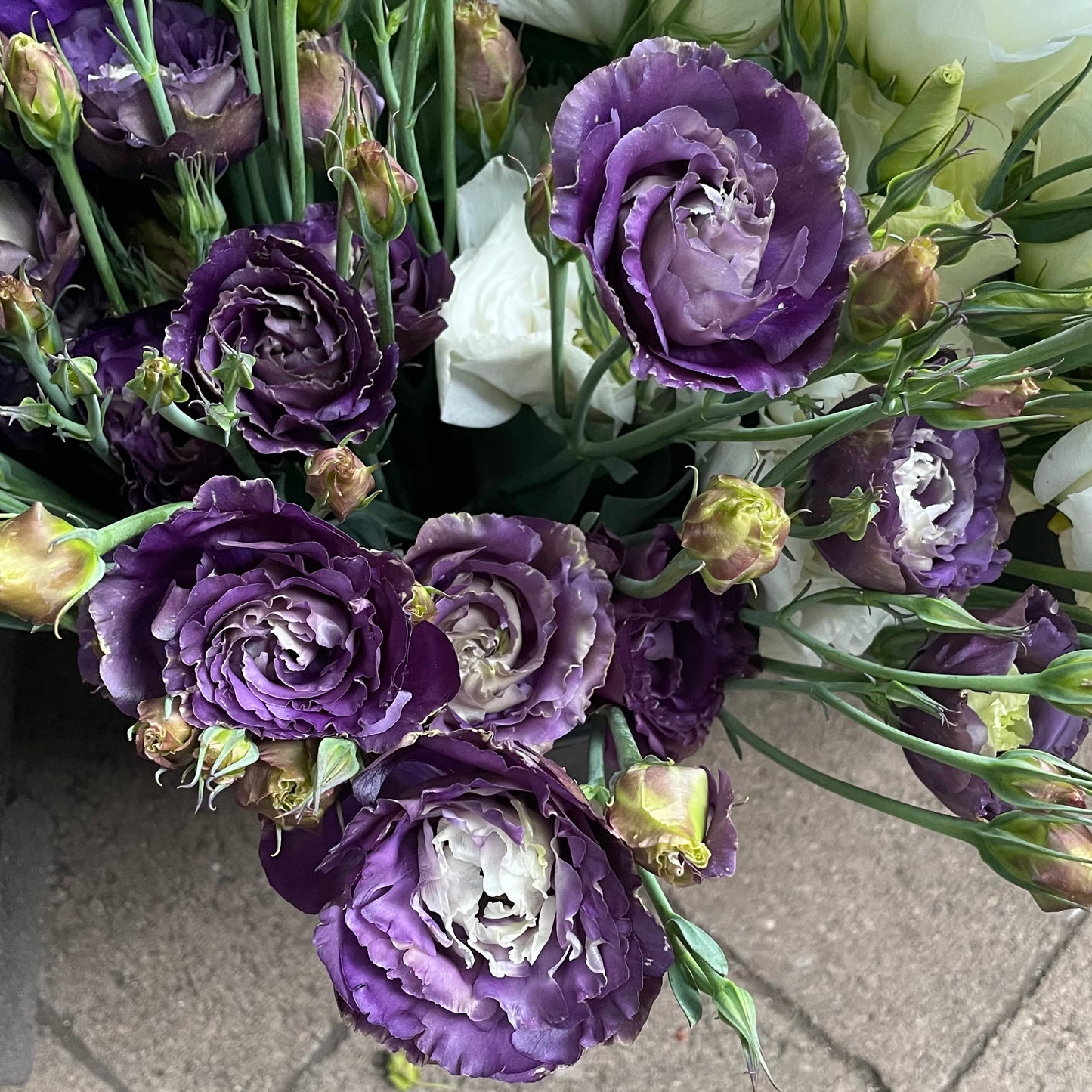 Lisianthus by the bunch