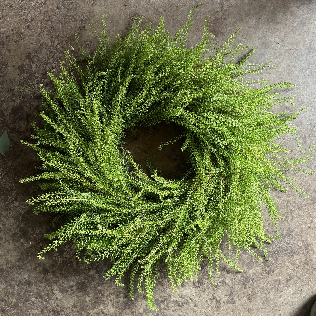 A Simple Indoor Wreath (Cress)