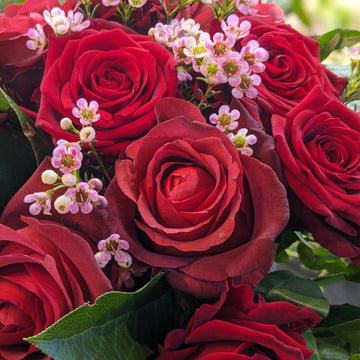 Red Rose Arrangement in Vase