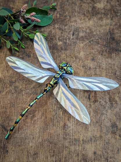 SKINKS Jewelled Insects - Locally Made