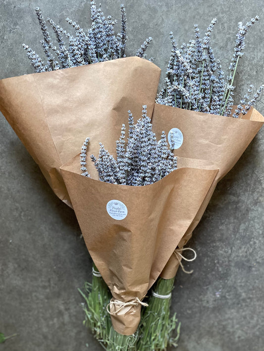 Dried Lavender large bunch