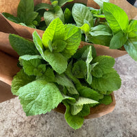Mint by the bunch