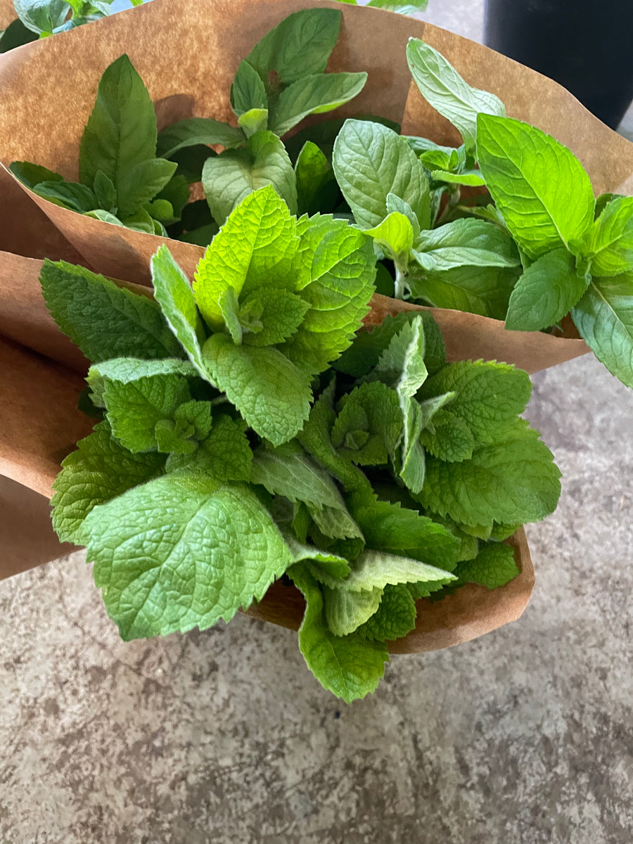 Mint by the bunch