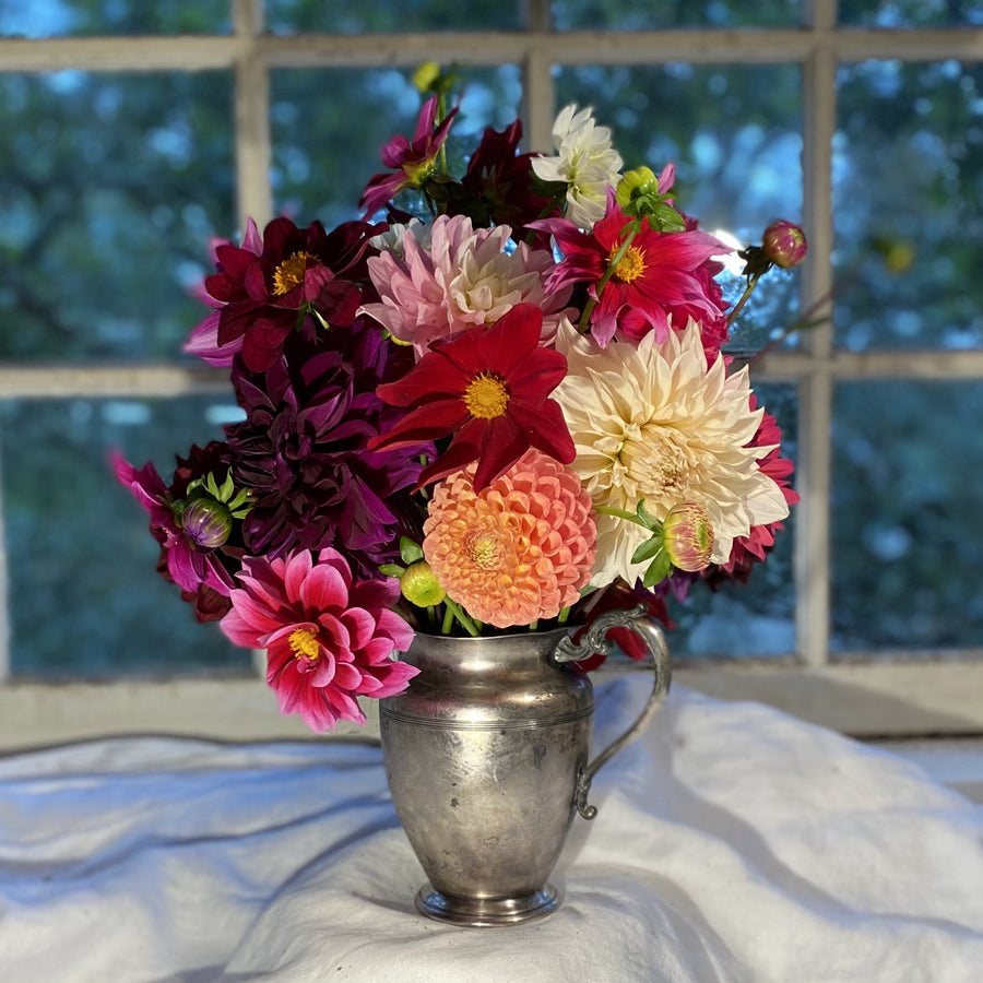 The Dahlia Lovers - Weekly Flower Share Collection (6707421085777)