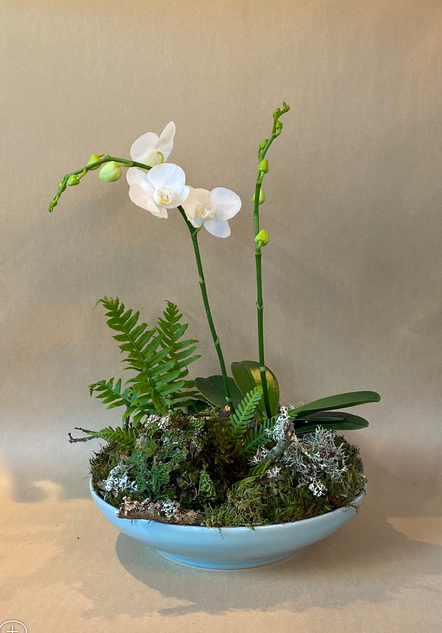 One-of-a-kind Orchid Gift Display (4730878525521)