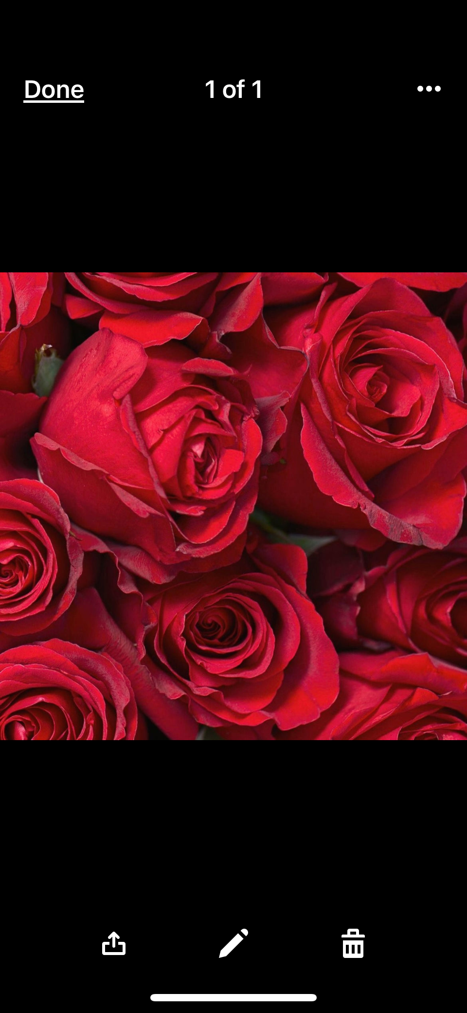 Red Rose Arrangement in Vase