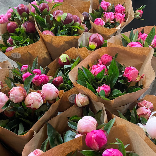 Peonies by the bunch (4730879770705)